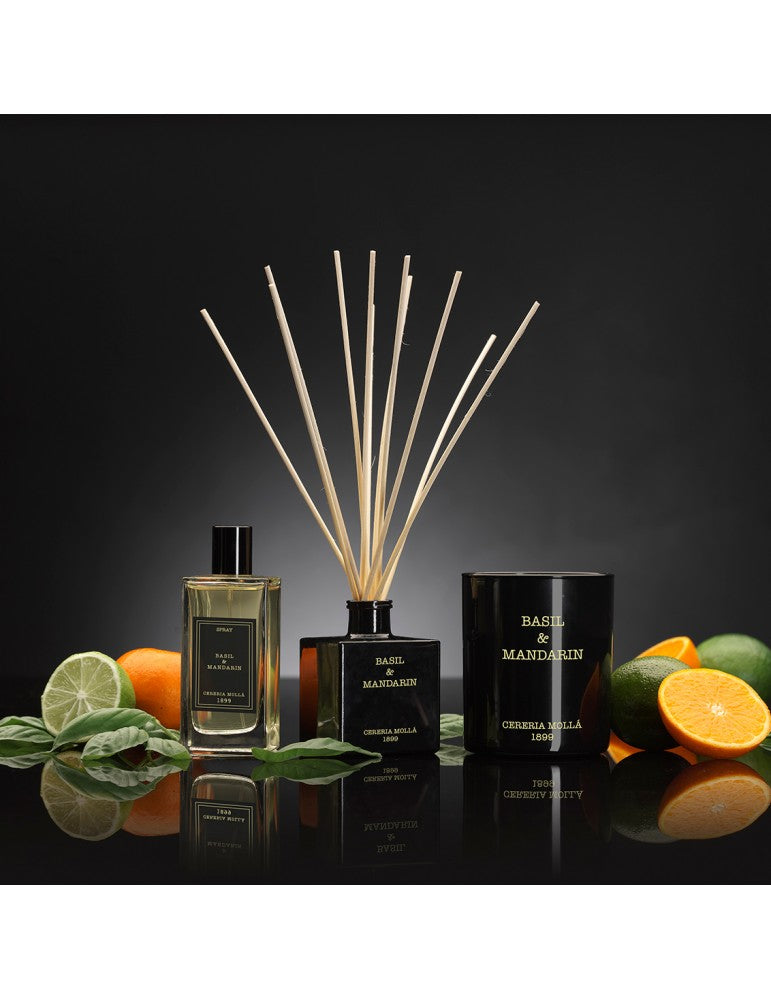 CERERIA MOLLA home fragrance with sticks &quot;Basil &amp; Mandarin&quot; 100 ml